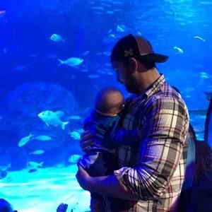 Meet your Posher, Brien